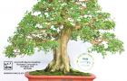 Một số hình ảnh tại Triễn lãm ABFF 2015 tại Việt Nam Phần 4