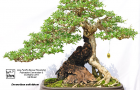 Một số hình ảnh tại Triễn lãm ABFF 2015 tại Việt Nam Phần 5