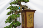 Một số hình ảnh tại Triễn lãm ABFF 2015 tại Việt Nam Phần 1