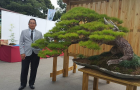 Bonsai Đài Loan 2017 (BCI) Phần 1