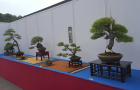 bci_2017_3