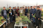 vuon_bonsai_a_son_11