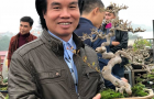 vuon_bonsai_a_son_7