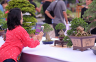 thongdennhatban_23