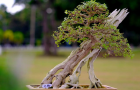 thongdennhatban_71