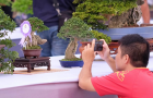 thongdennhatban_81