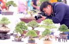 thongdennhatban_19