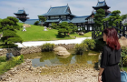 cay_thong_san_vuon_9