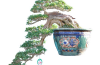 Danh sách tác phẩm đạt giải do các Nghệ Nhân Quốc Tế chấm thi (Bonsai Trung)