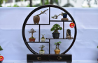 BONSAI_MINI