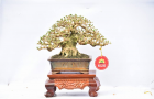 Hội hoa xuân tao đàn 2018 Phần 1