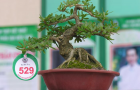 DSCN2505