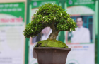 DSCN2506