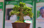 DSCN2527