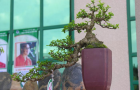 DSCN2541