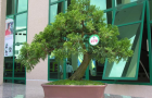 DSCN2547