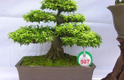DSCN2552