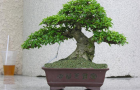 DSCN2563