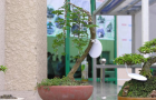 DSCN2566