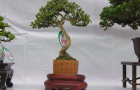 DSCN2571