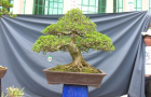 DSCN2738
