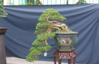 DSCN2740