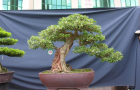 DSCN2744