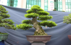 DSCN2745