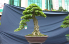 DSCN2747