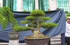 DSCN2748