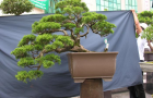 DSCN2754