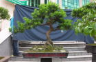 DSCN2756