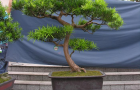 DSCN2757