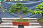 DSCN2760