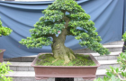 DSCN2762