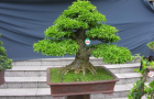 DSCN2763