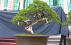 DSCN2765