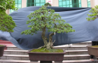 DSCN2766