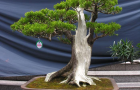 DSCN2769