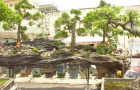 DSCN2774