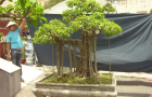DSCN2775