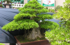 DSCN2794