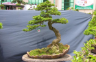 DSCN2795