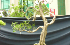 DSCN2802
