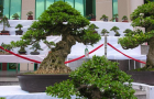 DSCN2813