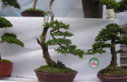DSCN2822