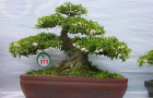 DSCN2826