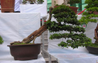 DSCN2829