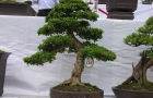 DSCN2831