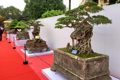 Triển lãm Yên Tử 03-2018 Phần 1